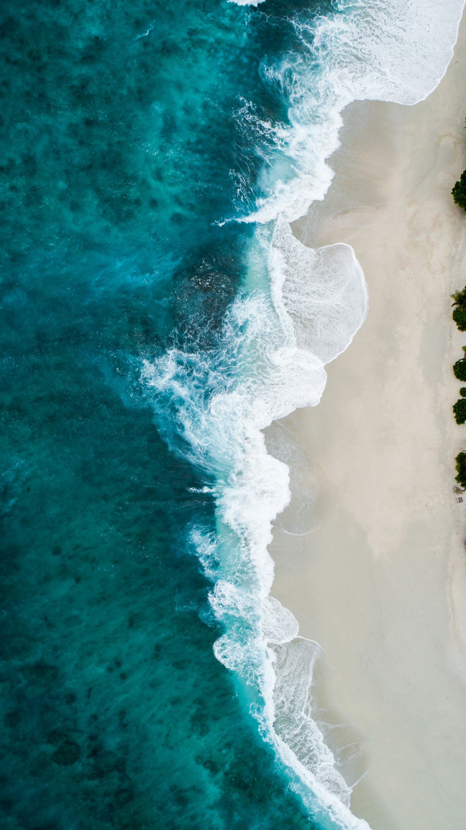 Eco-Friendly & Sustainable Beaches Dubai 2026 — Complete Guide