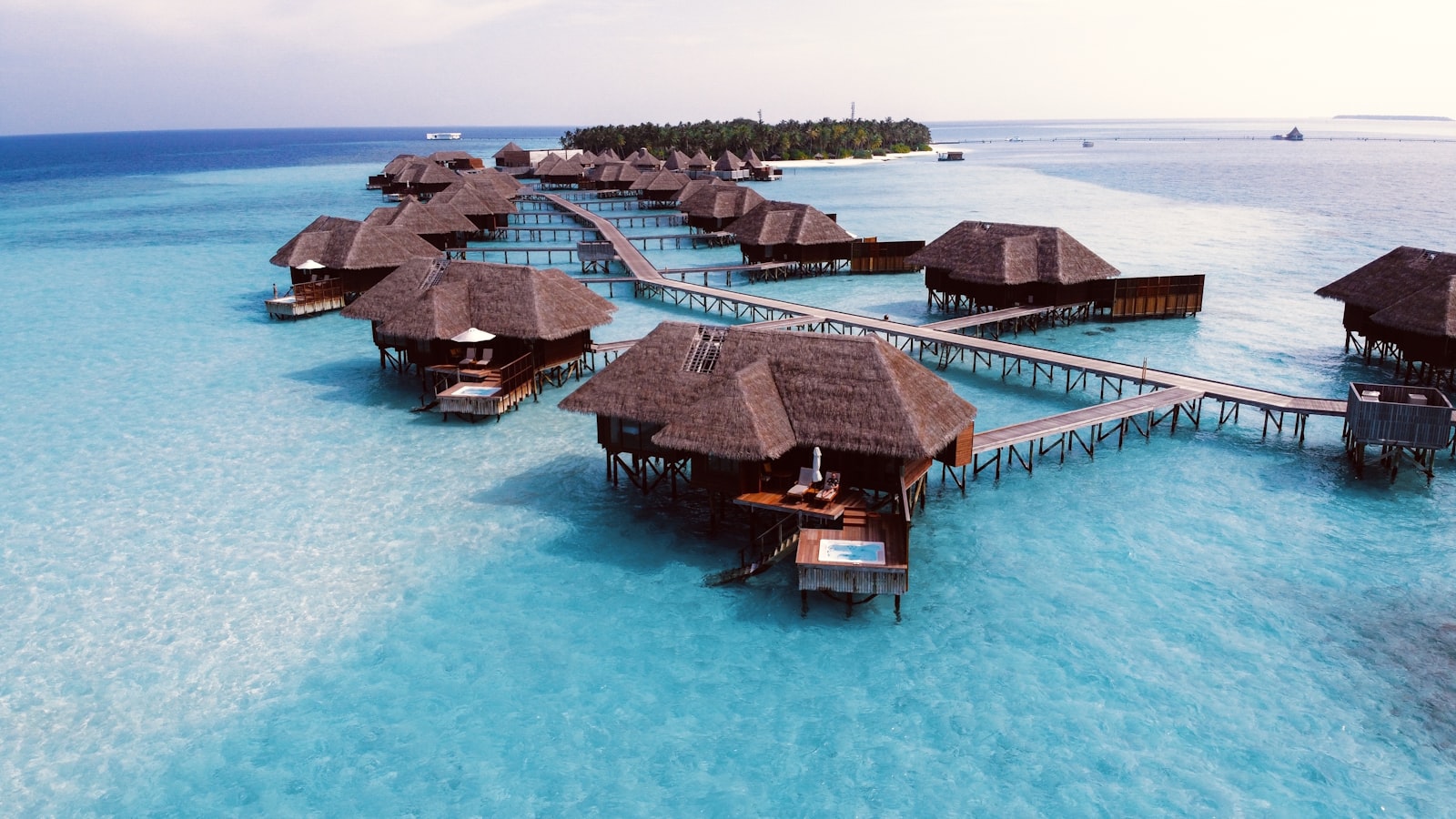 People relaxing on sunbeds at a luxury Dubai beach club poolside